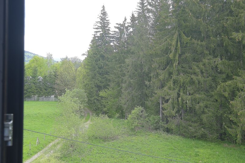 Valea Popii